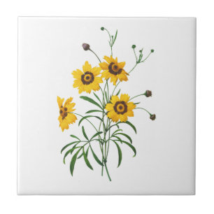 Yellow Coreopsis Elegans by Pierre Joseph Redoute Tile