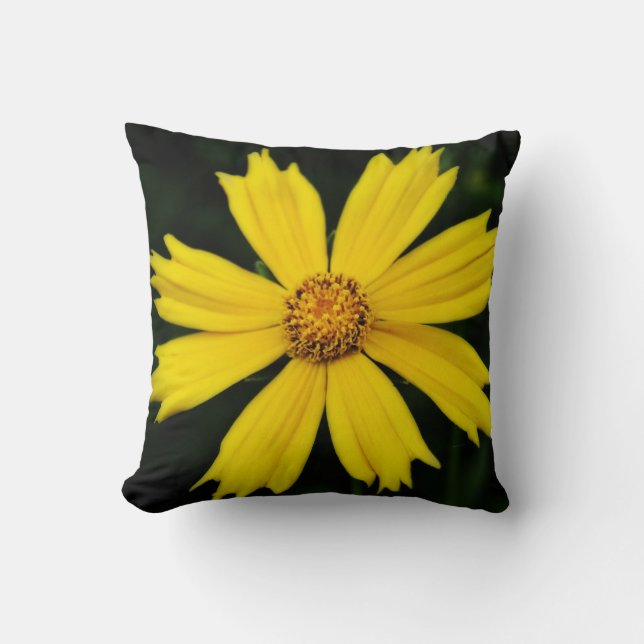 Yellow Cosmos Flower Close-up Cushion (Front)