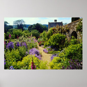 Yellow Cotswold garden flowers Poster