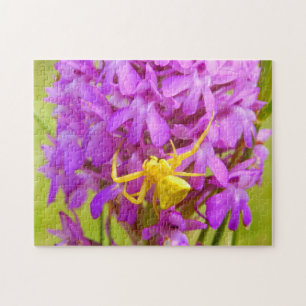 Yellow Crab Spider Photo Puzzle with Gift Box