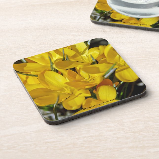 Yellow Crocus Flowers Coaster (Left Side)