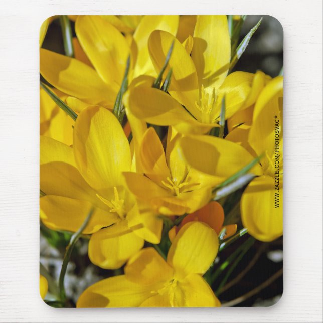 Yellow Crocus Flowers Mouse Pad (Front)