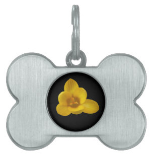 Yellow Crocus Pet Tag