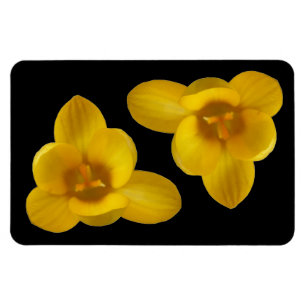 Yellow Crocus Premium Magnet