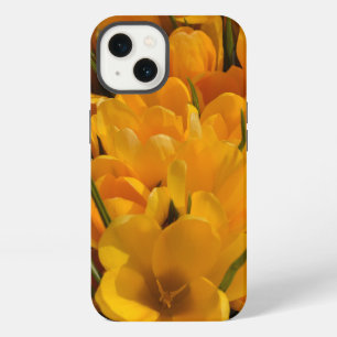 Yellow Crocuses - Happy Floral Heralds of Spring iPhone 13 Case
