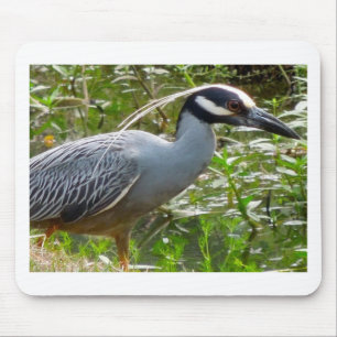 Yellow Crown Night Heron Mouse Pad