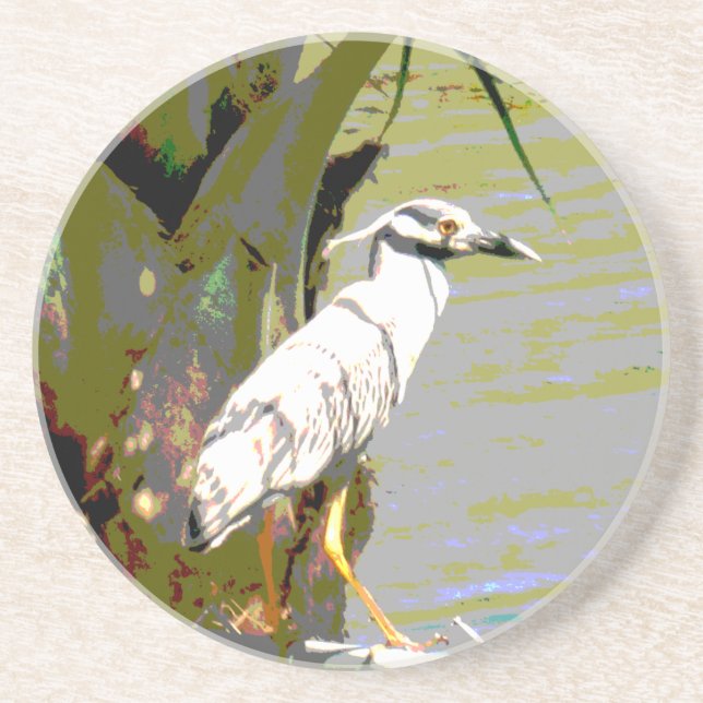 Yellow-crowned Night Heron Coaster (Front)