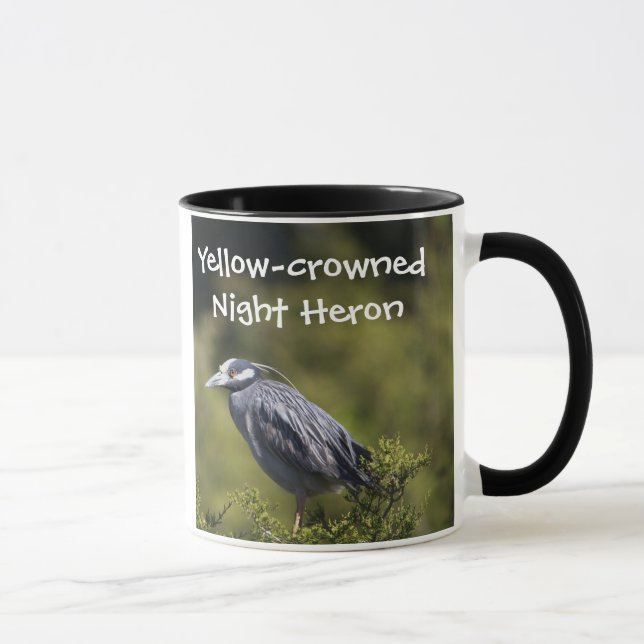 Yellow-crowned Night Heron Mug (Right)