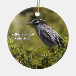 Yellow-Crowned Night Heron Ornament