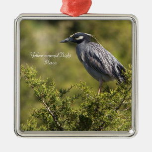 Yellow-crowned Night Heron Ornament 