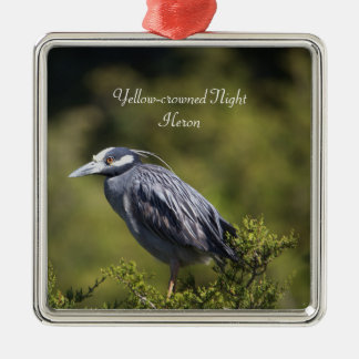 Yellow-crowned Night Heron Ornament
