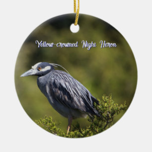 Yellow-Crowned Night Heron Ornament