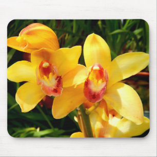 Yellow Cymbidium Orchid Mouse Mat