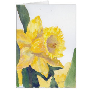Yellow Daffodil Card