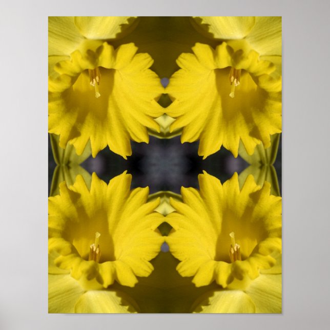 Yellow Daffodil Centre Abstract  Poster (Front)