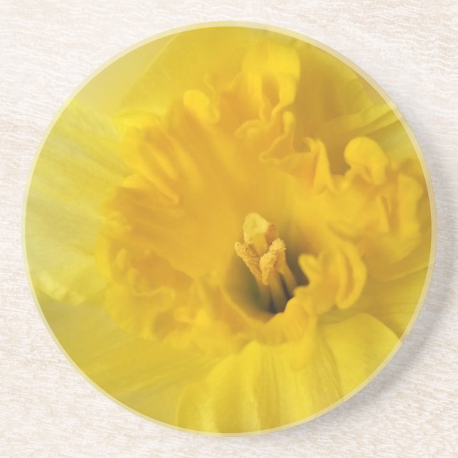 yellow daffodil coaster (Front)