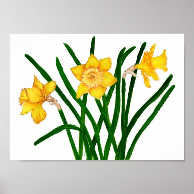 Yellow Daffodil Floral Watercolor Painting Poster (Front)