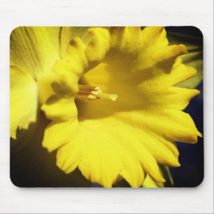 Yellow Daffodil Flower  Mouse Pad