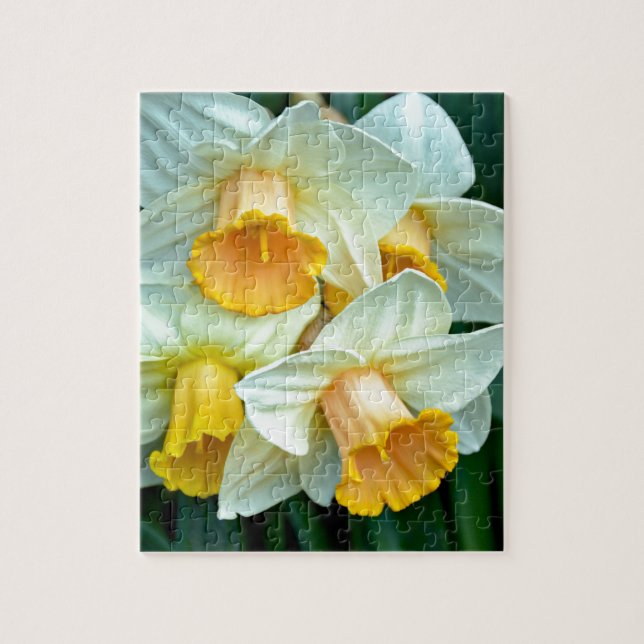 Yellow daffodil flowers jigsaw puzzle (Vertical)