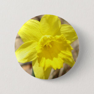 Yellow Daffodil Flowers Round Button
