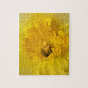 yellow daffodil jigsaw puzzle