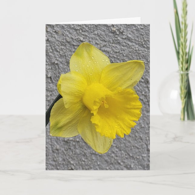 Yellow Daffodil Mother's Day Card (Front)