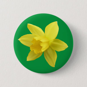 Yellow Daffodil on Green 6 Cm Round Badge