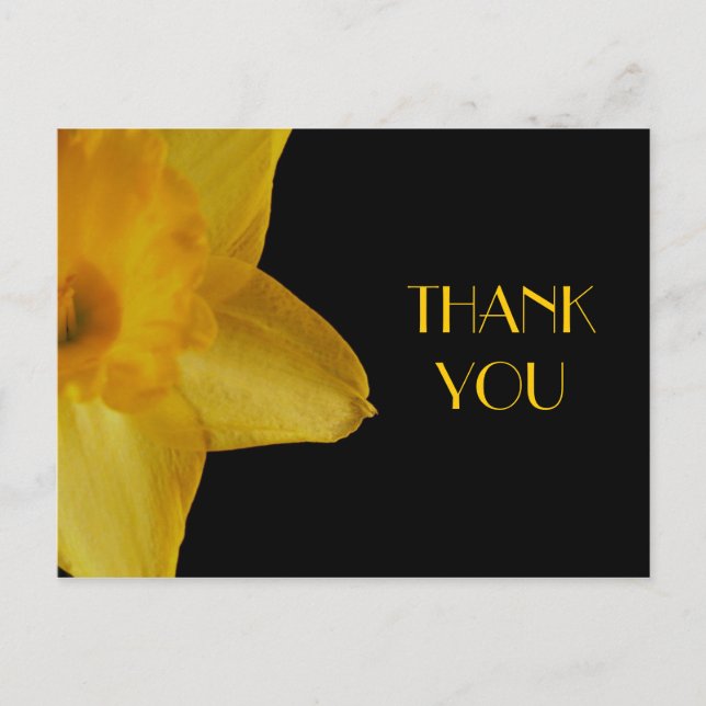 Yellow Daffodil Thank You Postcard (Front)