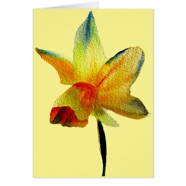 Yellow Daffodil watercolour art Spring Flower (Front)