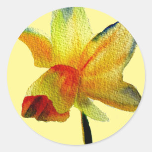 Yellow Daffodil watercolour art Spring Flower Classic Round Sticker