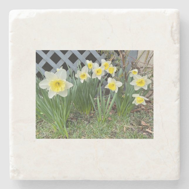 Yellow Daffodils#3 Stone Coaster (Front)