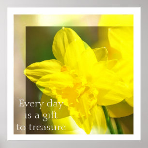 Yellow Daffodils Abstract Poster
