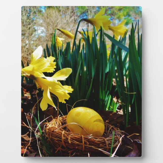 Yellow Daffodils and a Yellow Easter egg Plaque (Front)