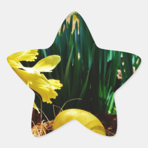 Yellow Daffodils and a Yellow Easter egg Star Sticker
