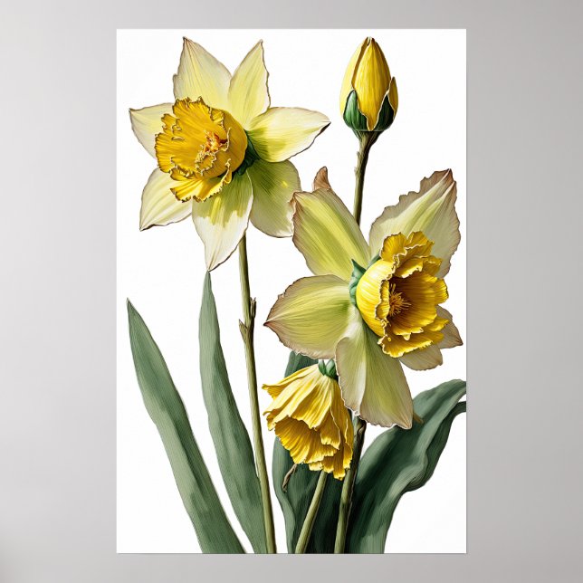 Yellow Daffodils Flower Art Print Poster (Front)