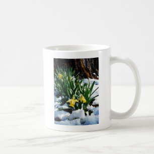 Yellow Daffodils flowers in the snow Coffee Mug