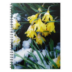 Yellow Daffodils flowers in the snow Notebook
