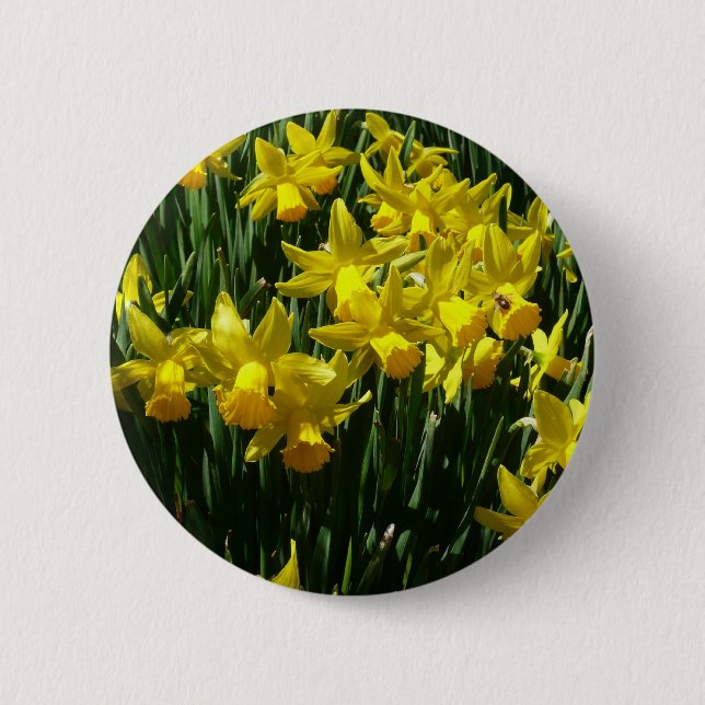 Yellow Daffodils I Cheery Spring Flowers 6 Cm Round Badge (Front)