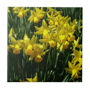 Yellow Daffodils I Cheery Spring Flowers Ceramic Tile