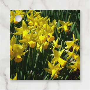 Yellow Daffodils I Cheery Spring Flowers Favour Tags