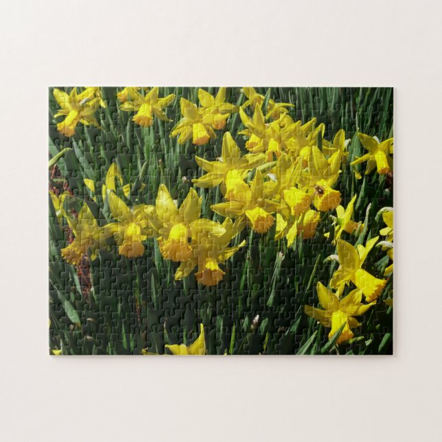 Yellow Daffodils I Cheery Spring Flowers Jigsaw Puzzle (Horizontal)