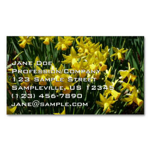 Yellow Daffodils I Cheery Spring Flowers Magnetic Business Card