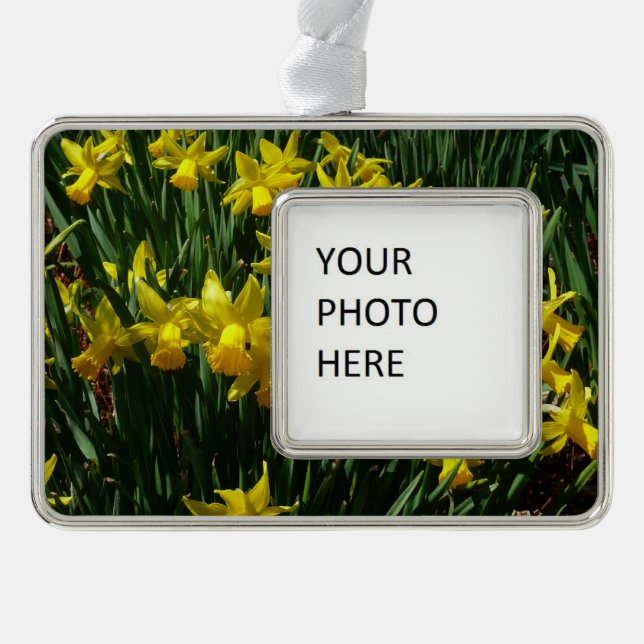 Yellow Daffodils I Cheery Spring Flowers Silver Plated Framed Ornament (Front)