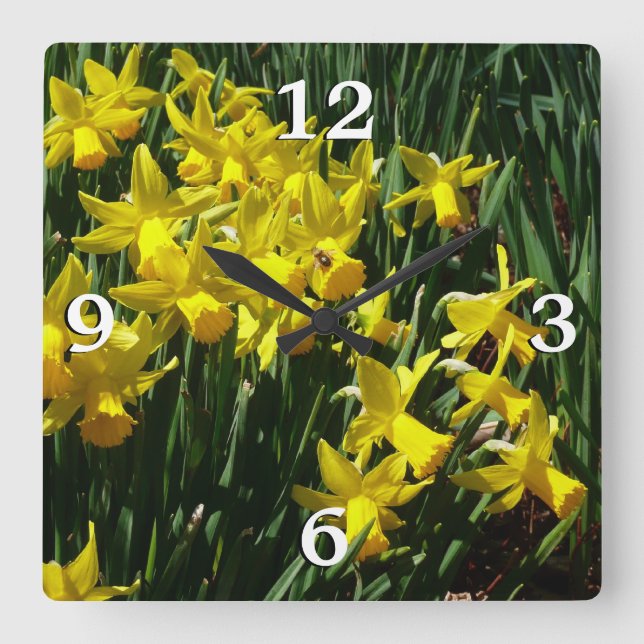 Yellow Daffodils I Cheery Spring Flowers Square Wall Clock (Front)
