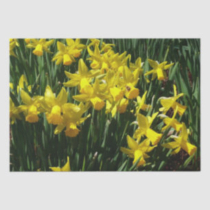 Yellow Daffodils I Cheery Spring Flowers Tissue Paper