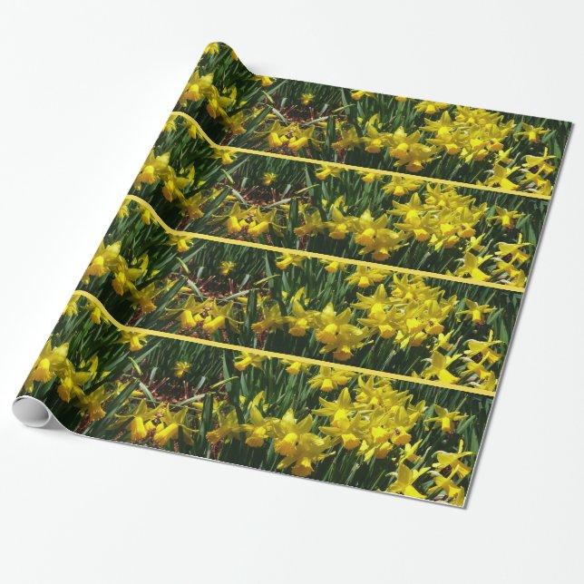 Yellow Daffodils I Cheery Spring Flowers Wrapping Paper (Unrolled)