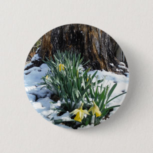 Yellow Daffodils in the snow 6 Cm Round Badge