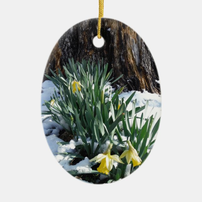 Yellow Daffodils in the snow Ceramic Ornament (Front)