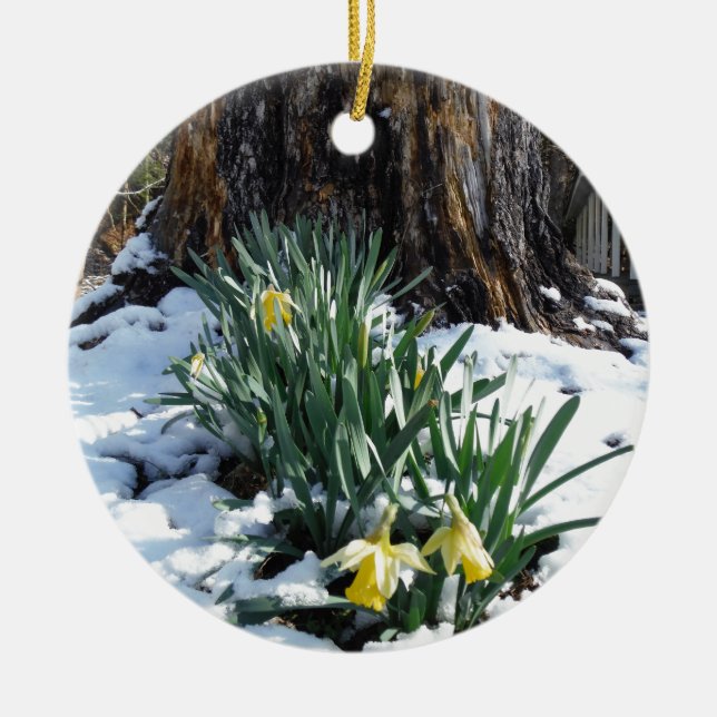 Yellow Daffodils in the snow Ceramic Tree Decoration (Front)