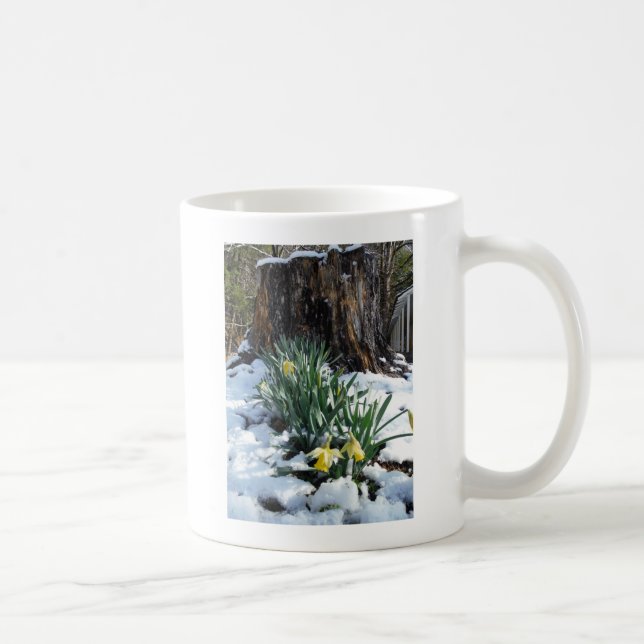 Yellow Daffodils in the snow Coffee Mug (Right)